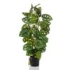 Emerald Monstera Artificiel Monkey 75 Cm En Pot 2 Emerald Monstera Artificiel Monkey 75 Cm En Pot -Grasses Fleurs Soldes Boutique 17086429697fd8e5