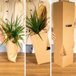 Tillandsia Et Son Support En Cube - H35cm, ø20cm - Plante D'intérieur Tombante 11 Tillandsia Et Son Support En Cube - H35cm, ø20cm - Plante D'intérieur Tombante -Grasses Fleurs Soldes Boutique 1d4ca7b43168e807