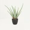 Aloe Vera Artificiel 35cm -Grasses Fleurs Soldes Boutique 1e1d7ccd2b430a73