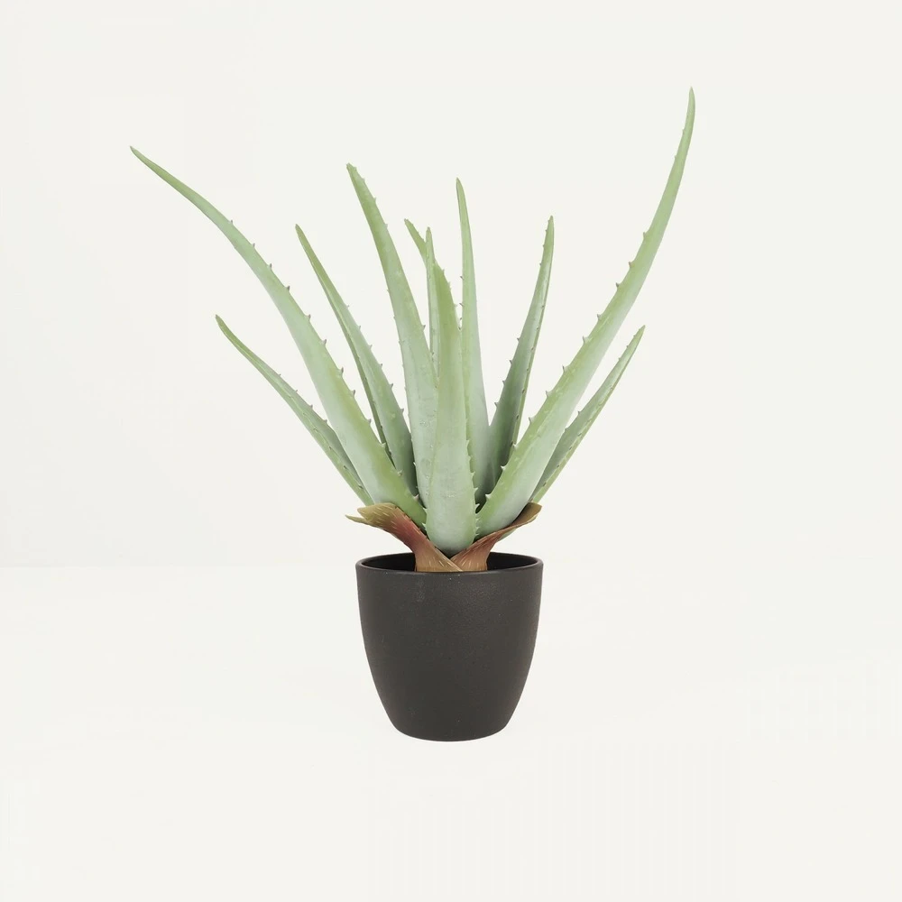 Aloe Vera Artificiel 35cm 3 Aloe Vera Artificiel 35cm
