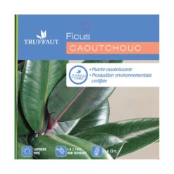 Caoutchouc : 3 Pieds Pot -Grasses Fleurs Soldes Boutique 28705 001