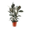 Caoutchouc : 3 Pieds Pot -Grasses Fleurs Soldes Boutique 28705 003