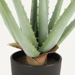 Aloe Vera Artificiel 35cm 9 Aloe Vera Artificiel 35cm -Grasses Fleurs Soldes Boutique 3a5e870da98183ae
