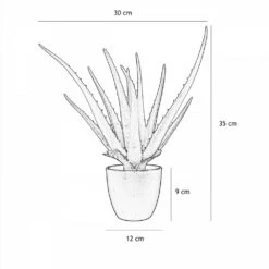 Aloe Vera Artificiel 35cm 10 Aloe Vera Artificiel 35cm -Grasses Fleurs Soldes Boutique 3e5d632604bddc97