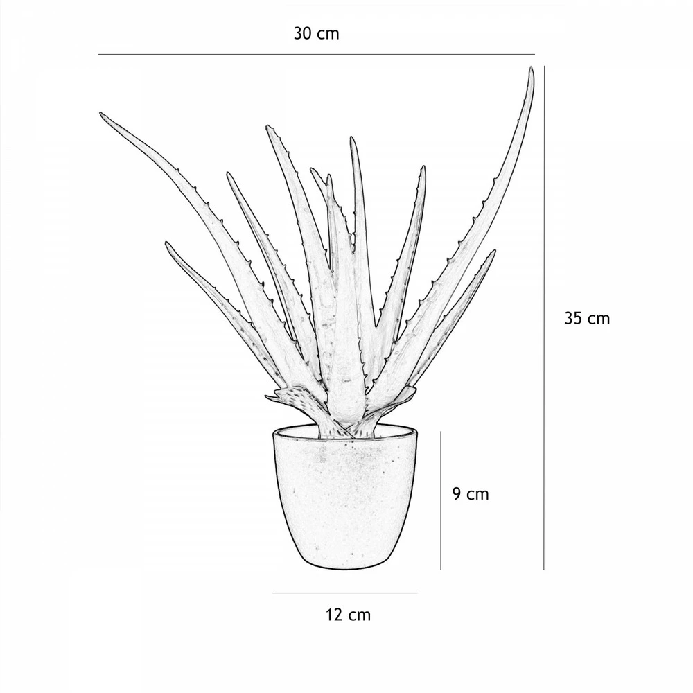 Aloe Vera Artificiel 35cm 6 Aloe Vera Artificiel 35cm – Image 4