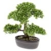 Emerald Mini Bonsaï Ficus Artificiel Vert 32 Cm 420002 -Grasses Fleurs Soldes Boutique 40f186998a9da7d1