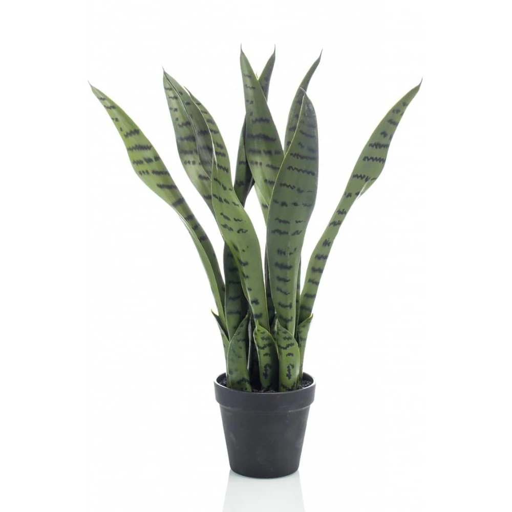 Emerald Plante Artificielle Sansevieria 55 Cm En Pot 3 Emerald Plante Artificielle Sansevieria 55 Cm En Pot
