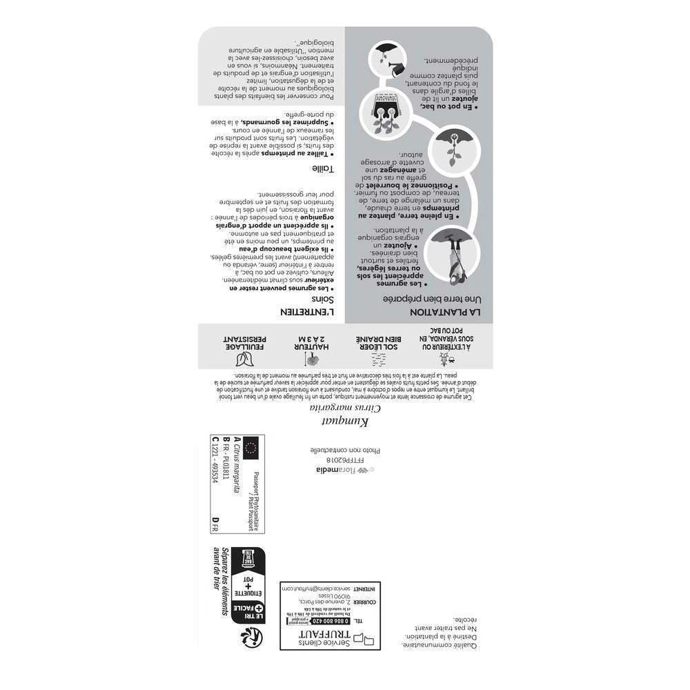 Kumquat : Ctr 3 Litres, Agriculture Biologique 5 Kumquat : Ctr 3 Litres, Agriculture Biologique – Image 3