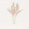Plumeau Artificiel Rose 110cm Lot De 3 2 Plumeau Artificiel Rose 110cm Lot De 3 -Grasses Fleurs Soldes Boutique 49ed1b26d1b89aa6