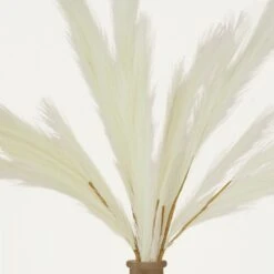 Plumeau Artificiel Crème 110cm Lot De 3 -Grasses Fleurs Soldes Boutique 4cbd7840188bab6e
