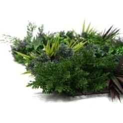 Mur Végétal Artificiel Premium City 2 - 12 Plantes - 1m X 1m -Grasses Fleurs Soldes Boutique 639b1ded454af8.92120899