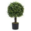 Plante Artificielle - Topiaire Buis 65cm 1 Plante Artificielle - Topiaire Buis 65cm -Grasses Fleurs Soldes Boutique 639b1df22901b9.84953577