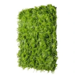 Mur Végétal Artificiel Extérieur Et Intérieur Prêt à Poser 1m X 1m Fougère 7 Mur Végétal Artificiel Extérieur Et Intérieur Prêt à Poser 1m X 1m Fougère -Grasses Fleurs Soldes Boutique 63add9335b8918.87256539