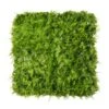 Mur Végétal Artificiel Extérieur Et Intérieur Prêt à Poser 1m X 1m Fougère -Grasses Fleurs Soldes Boutique 63add9335f8ee7.49486685
