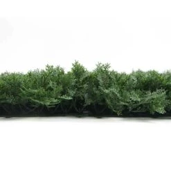 Mur Végétal Artificiel Cyprès - 1m X 1m 9 Mur Végétal Artificiel Cyprès - 1m X 1m -Grasses Fleurs Soldes Boutique 63add9375bcdf9.38768828