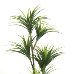 Plante Artificielle - Dracaena 150cm -Grasses Fleurs Soldes Boutique 63cbb44199a443.01026877