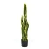 Plante Artificielle - Sanseviera Jaune 89cm -Grasses Fleurs Soldes Boutique 63cbb449dc6d58.53762149