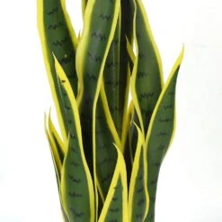 Plante Artificielle - Sanseviera Jaune 89cm -Grasses Fleurs Soldes Boutique 63cbb449e03d87.82622051