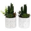 Plante Succulente Artificielle Pot En Ciment (lot De 2) 1 Plante Succulente Artificielle Pot En Ciment (lot De 2) -Grasses Fleurs Soldes Boutique 63dd4fb24ade63.19650527