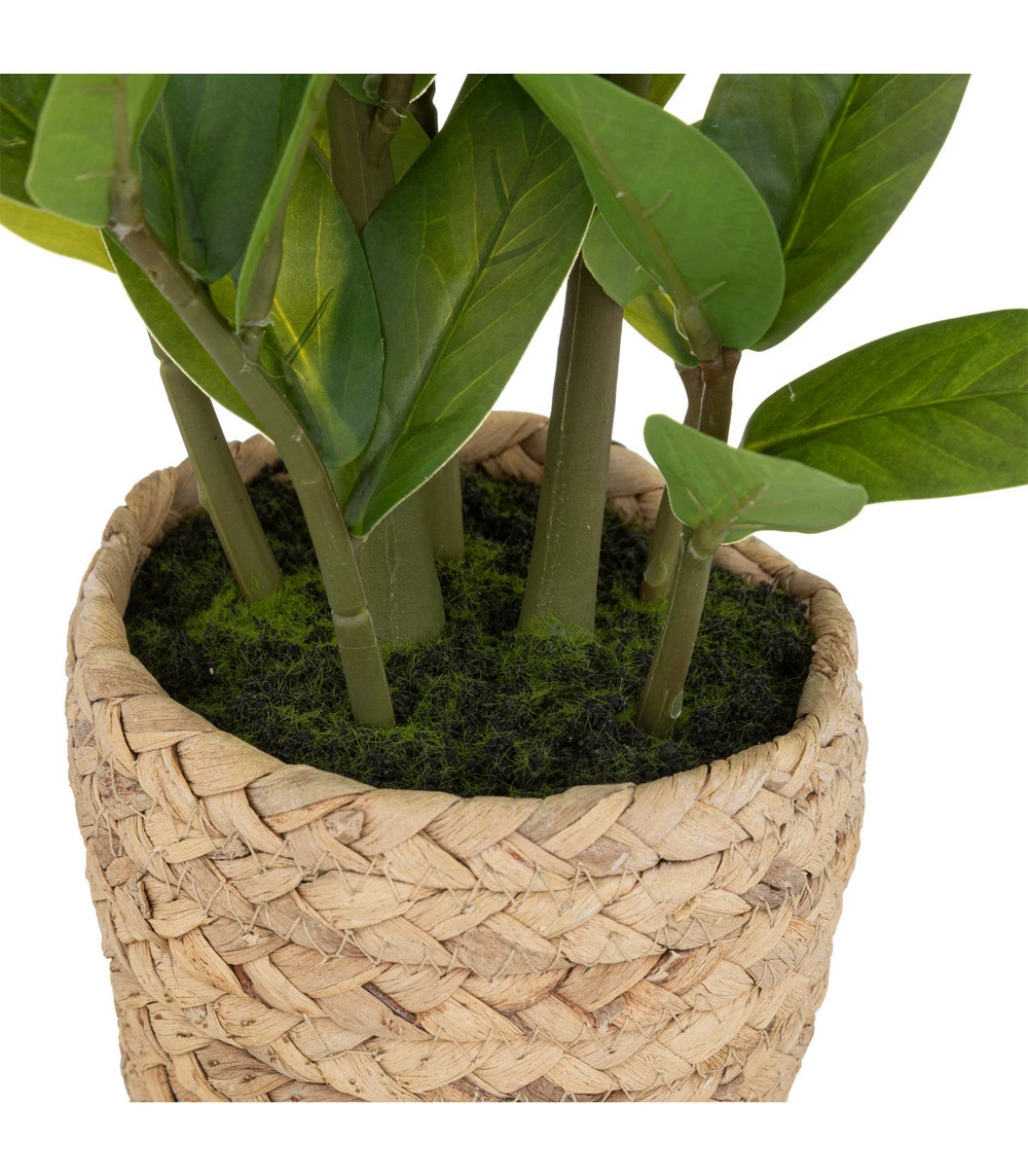 ATMOSPHERA Plante Artificielle Zamio En Pot H 41 Cm 5 ATMOSPHERA Plante Artificielle Zamio En Pot H 41 Cm – Image 3