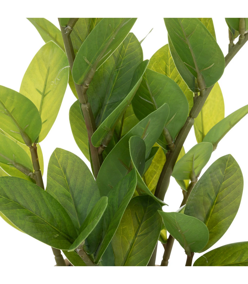 ATMOSPHERA Plante Artificielle Zamio En Pot H 41 Cm 4 ATMOSPHERA Plante Artificielle Zamio En Pot H 41 Cm – Image 2