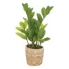 ATMOSPHERA Plante Artificielle Zamio En Pot H 41 Cm 2 ATMOSPHERA Plante Artificielle Zamio En Pot H 41 Cm -Grasses Fleurs Soldes Boutique 63eb35dbe68738.08171512