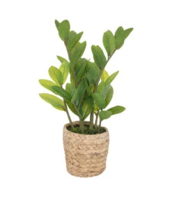 ATMOSPHERA Plante Artificielle Zamio En Pot H 41 Cm
