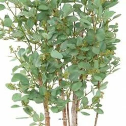 Joli Faux Eucalyptus En Pot H 160 Cm Feuillage Tissu Vert -Grasses Fleurs Soldes Boutique 63f608085cafe7.15719631