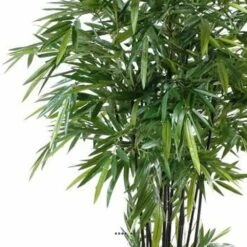Bambou Artificiel à Cannes Noires Effet Zen H 270 Cm - Choisissez Votre Hauteur: -Grasses Fleurs Soldes Boutique 63f6080a4cc649.27920023
