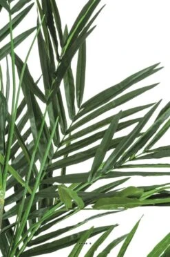 Palmier Kentia Artificiel En Pot H 240 Cm -Grasses Fleurs Soldes Boutique 63f6081a282cd3.32004562