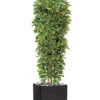 Schefflera Artificiel En Colonne En Pot H 195 Cm Vert-jaune -Grasses Fleurs Soldes Boutique 63f60821727c15.67875489