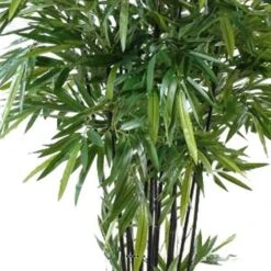 Bambou Artificiel à Cannes Noires Effet Zen H 210 Cm - Choisissez Votre Hauteur: -Grasses Fleurs Soldes Boutique 63f6082edc5132.81190497