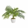 Palmier Areca Artificiel En Pot Ceramique H 60 Cm Superbe -Grasses Fleurs Soldes Boutique 63fa513c43b1a1.32986122