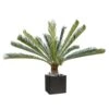 Palmier Cycas Artificiel En Pot H 200 Cm Vert - Choisissez Votre Hauteur: H 200 -Grasses Fleurs Soldes Boutique 63fa513dd2ad10.19364011