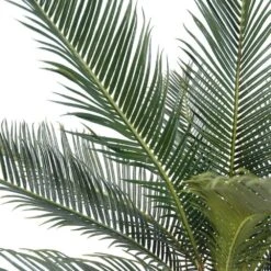 Palmier Cycas Artificiel En Pot H 50 Cm Vert - Choisissez Votre Hauteur: H 50 Cm 7 Palmier Cycas Artificiel En Pot H 50 Cm Vert - Choisissez Votre Hauteur: H 50 Cm -Grasses Fleurs Soldes Boutique 63fa5142a15859.96036681