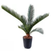 Palmier Cycas Artificiel En Pot H 50 Cm Vert - Choisissez Votre Hauteur: H 50 Cm 1 Palmier Cycas Artificiel En Pot H 50 Cm Vert - Choisissez Votre Hauteur: H 50 Cm -Grasses Fleurs Soldes Boutique 63fa5142a59318.35638466