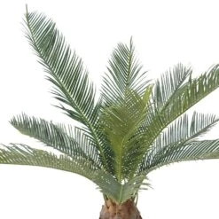 Palmier Cycas Artificiel En Pot H 50 Cm Vert - Choisissez Votre Hauteur: H 50 Cm 6 Palmier Cycas Artificiel En Pot H 50 Cm Vert - Choisissez Votre Hauteur: H 50 Cm -Grasses Fleurs Soldes Boutique 63fa5142a93cb8.95951104