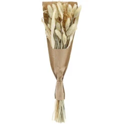 Bouquet Fleurs Séchées Naturelles Aurora (lot De 2) -Grasses Fleurs Soldes Boutique 6409defed9aa62.36742914