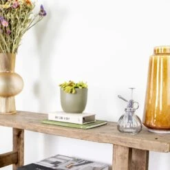 Dionaea Muscipula – Plante Carnivore – Peu D'entretien – ⌀12 Cm – ↕10-15 Cm 9 Dionaea Muscipula – Plante Carnivore – Peu D'entretien – ⌀12 Cm – ↕10-15 Cm -Grasses Fleurs Soldes Boutique 640b20a5e78e48.00125916