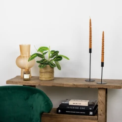 Maranta Lemon Lime – Plante De Prière – Plante D'intérieur – Purificateur D'air – ⌀12cm –↕10-15cm -Grasses Fleurs Soldes Boutique 640b786dee6560.87406910