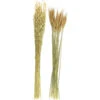 Bouquet De Fleur Séchée 75 Cm (lot De 2) -Grasses Fleurs Soldes Boutique 6410bb60642d15.06757783