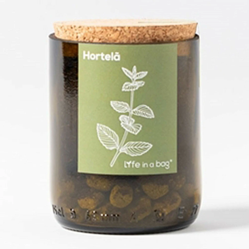 Kit Bouteille Prêt à Pousser Menthe 3 Kit Bouteille Prêt à Pousser Menthe