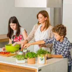 Sac Papier Prêt à Cultiver Calendula 9 Sac Papier Prêt à Cultiver Calendula -Grasses Fleurs Soldes Boutique 6420e04ce65762.91235116