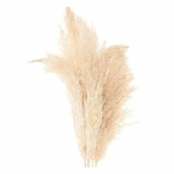 6 Herbes De Palma Séchées Naturelles -Grasses Fleurs Soldes Boutique 64258467cf48a9.13929074