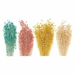 24 Tiges De Lin Séché Multicolores 70 Cm -Grasses Fleurs Soldes Boutique 6425846a453092.94360877