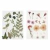 40 Fleurs Et Feuilles Séchées - Rose & Vert -Grasses Fleurs Soldes Boutique 6425846e8d55c2.91924882