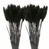 12 Tiges De Lagurus Séchés Noirs - 45 Cm 2 12 Tiges De Lagurus Séchés Noirs - 45 Cm -Grasses Fleurs Soldes Boutique 64258471449766.84893282