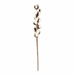 3 Branches De Coton Séché 10 Fleurs - 70 Cm -Grasses Fleurs Soldes Boutique 642584729a9280.60504534
