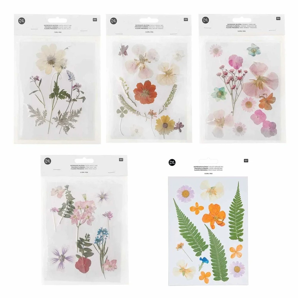 5 Sets De Fleurs Séchées Et Pressées Multicolores 3 5 Sets De Fleurs Séchées Et Pressées Multicolores