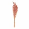 Lins Séchés Rose - 70 Cm -Grasses Fleurs Soldes Boutique 64258477a36c39.69531449
